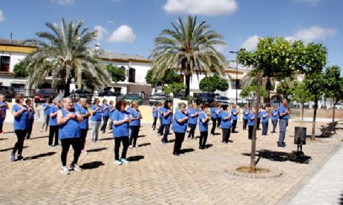 asociacion fibriomialgia